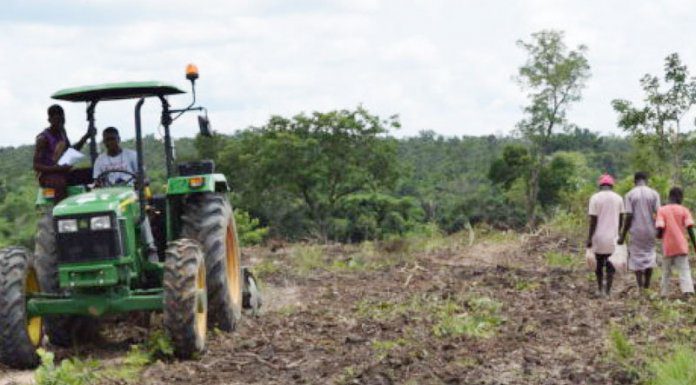 AfDB to Support Nigeria’s Agriculture with $134m