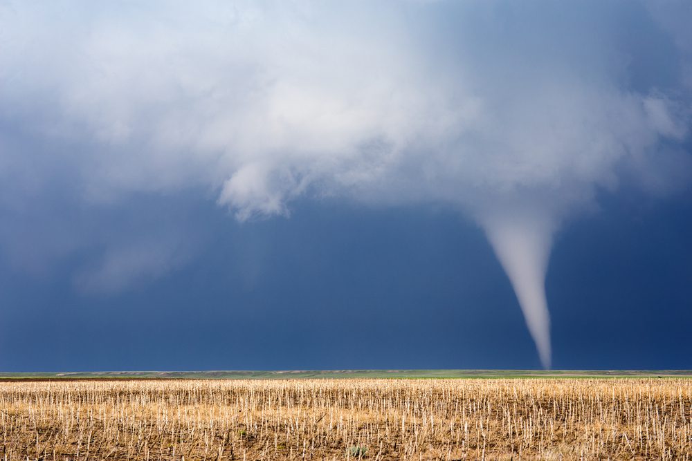 Here’s How an Unseasonably Warm “False Spring” Impacted Parts of the U.S.