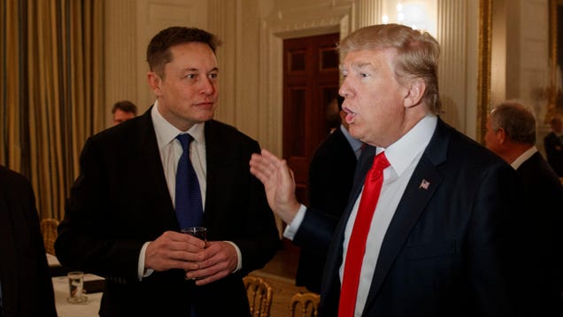 Elon Musk Meets With Donald Trump in Florida as 2024 Election Looms: Report