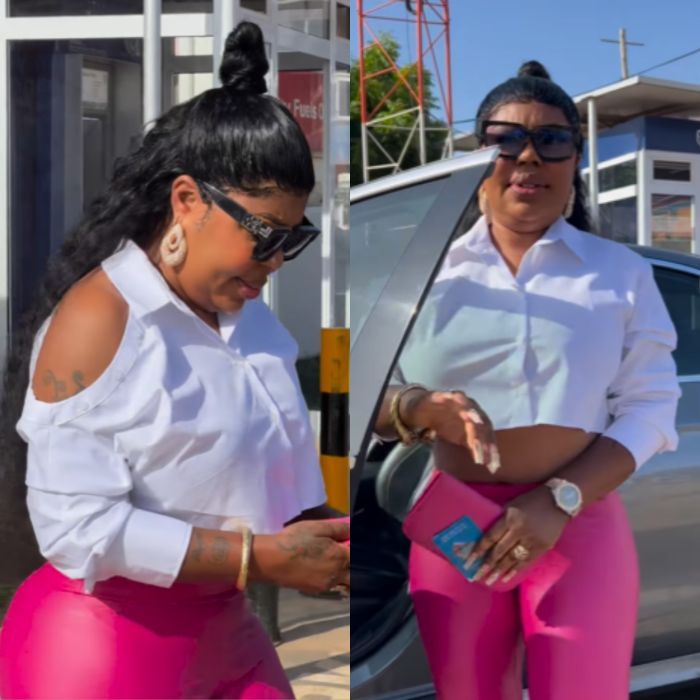 Nana Addo Won’t Sign The Anti-Gay Bill, Focus On Paying Your ECG Bills And Fixing Important Issues Affecting Ghanaians – Afia Schwarzenegger To Parliament