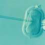 Alabama passes IVF protection law after uproar over court ruling