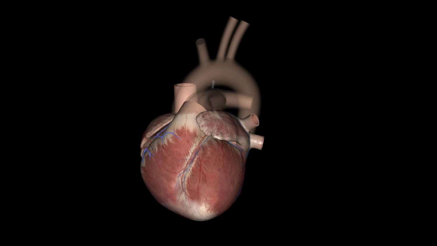 Injectable hydrogel protects right ventricle of heart