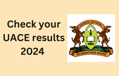 How to check UACE results 2024