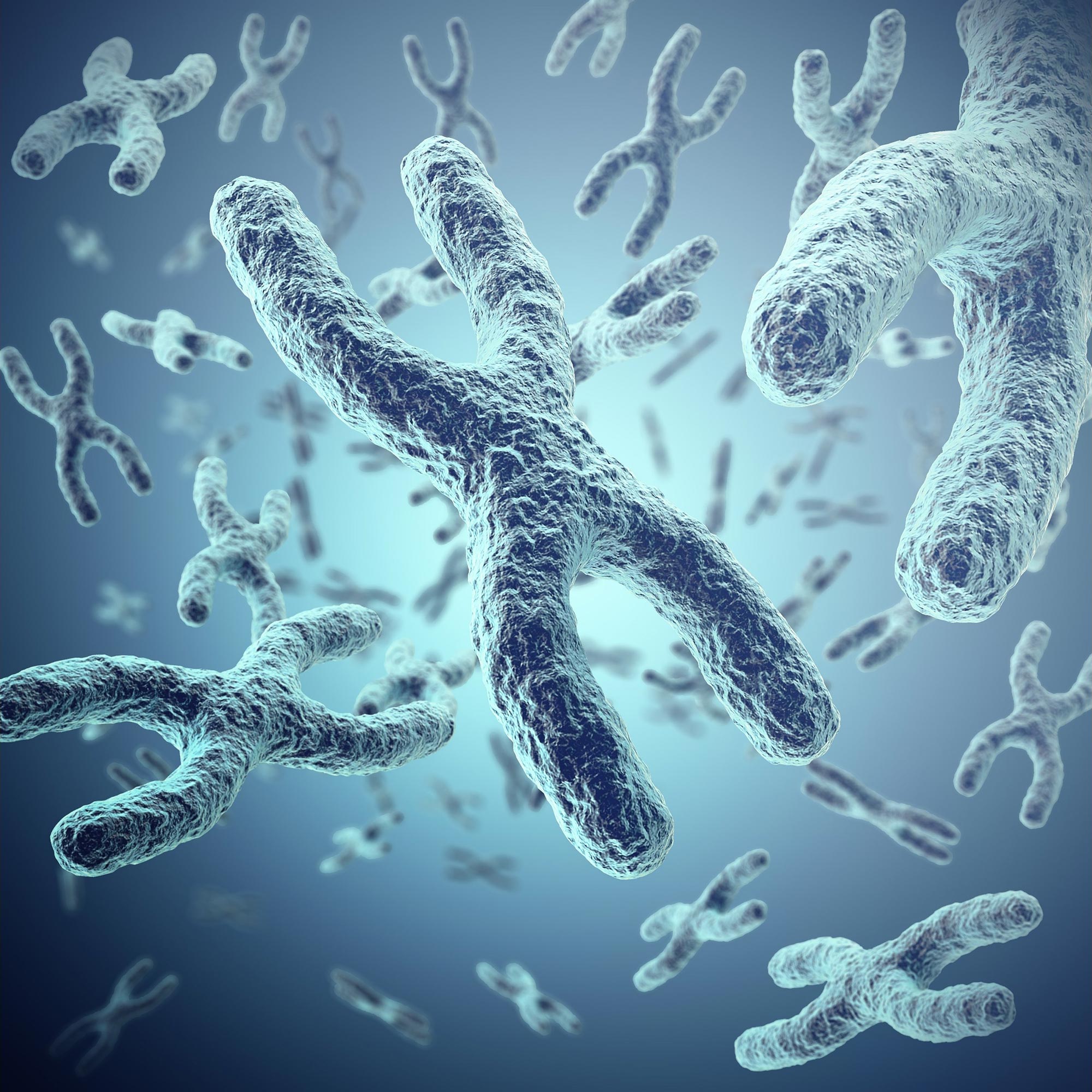 Vast Implications – Scientists Develop Novel Technique To Form Human Artificial Chromosomes