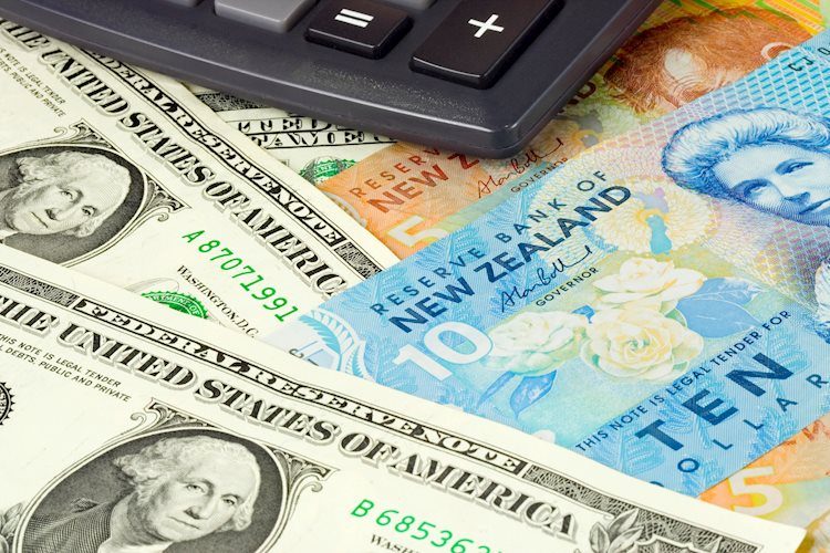 NZD/USD posts modest gains below the 0.6000 barrier on softer US Dollar