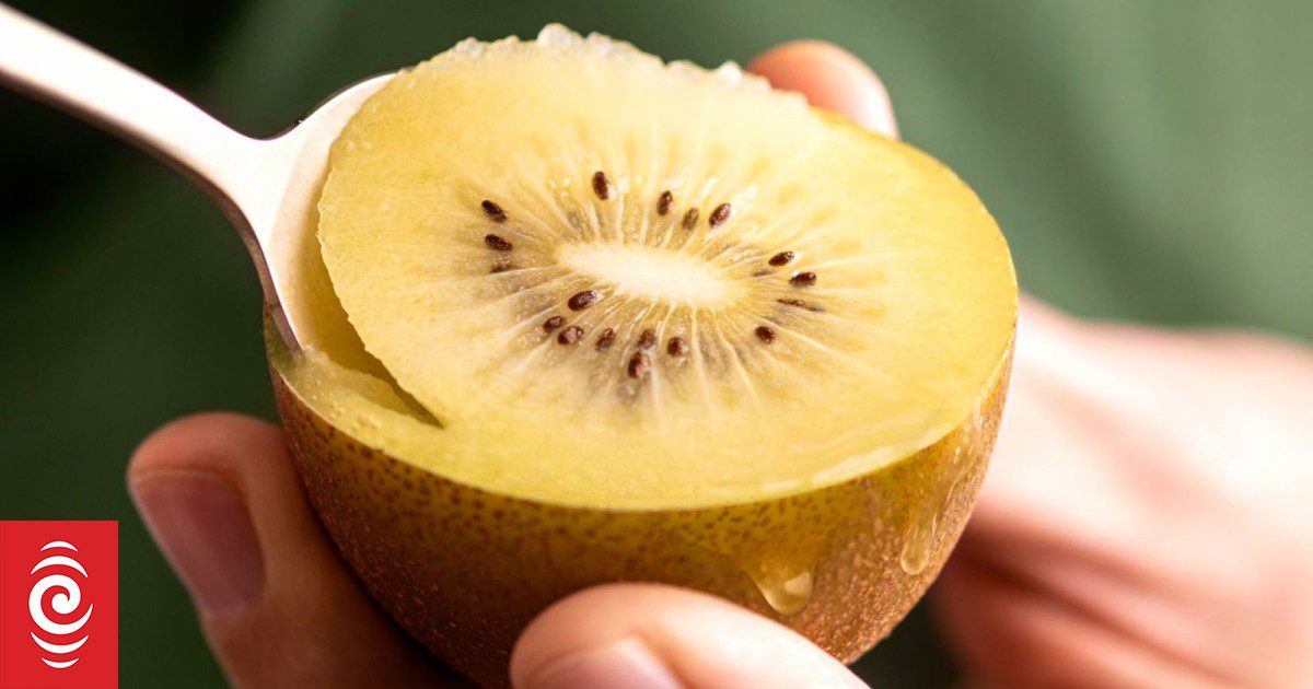 Kiwifruit head excited for big returns this coming season