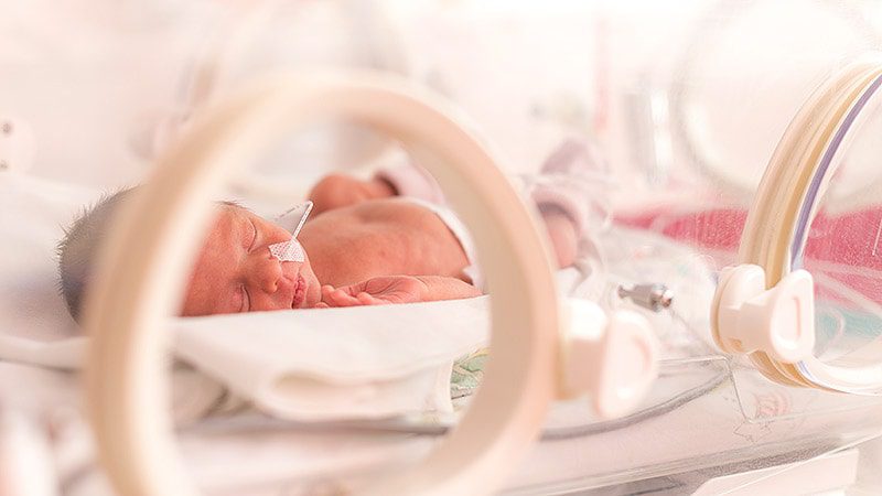 Pain Exposure Hinders Brain Development in Preterm Infants