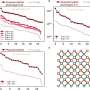 Unlocking quantum computing power: Automated protocol design for quantum advantage