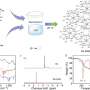 Enhancing fire safety: The emergence of PA-DAD as a sustainable flame retardant for epoxy resin composites