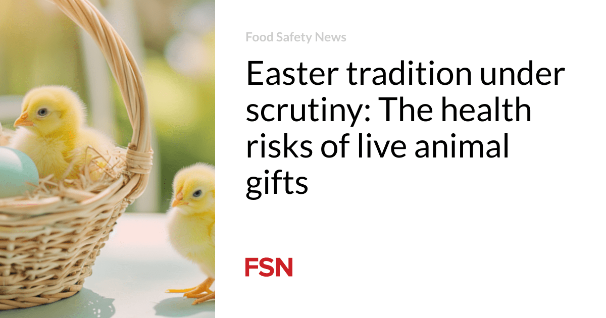 Easter tradition under scrutiny: The health risks of live animal gifts