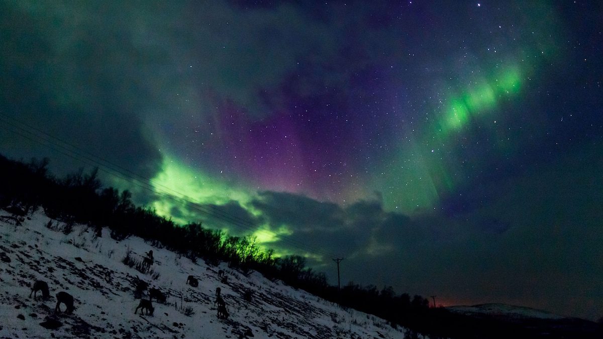 This Swedish overnight train takes you straight to the northern lights