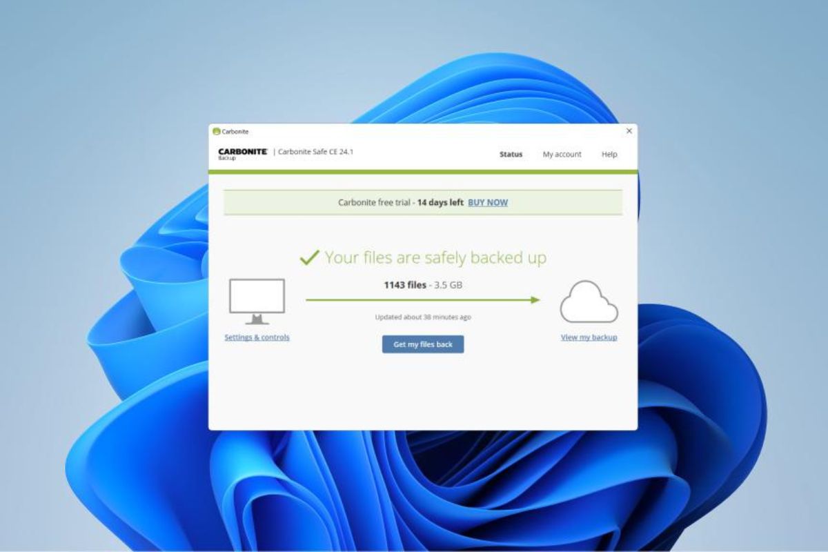 Act fast! Carbonite’s spectacular online backup service is 75% off