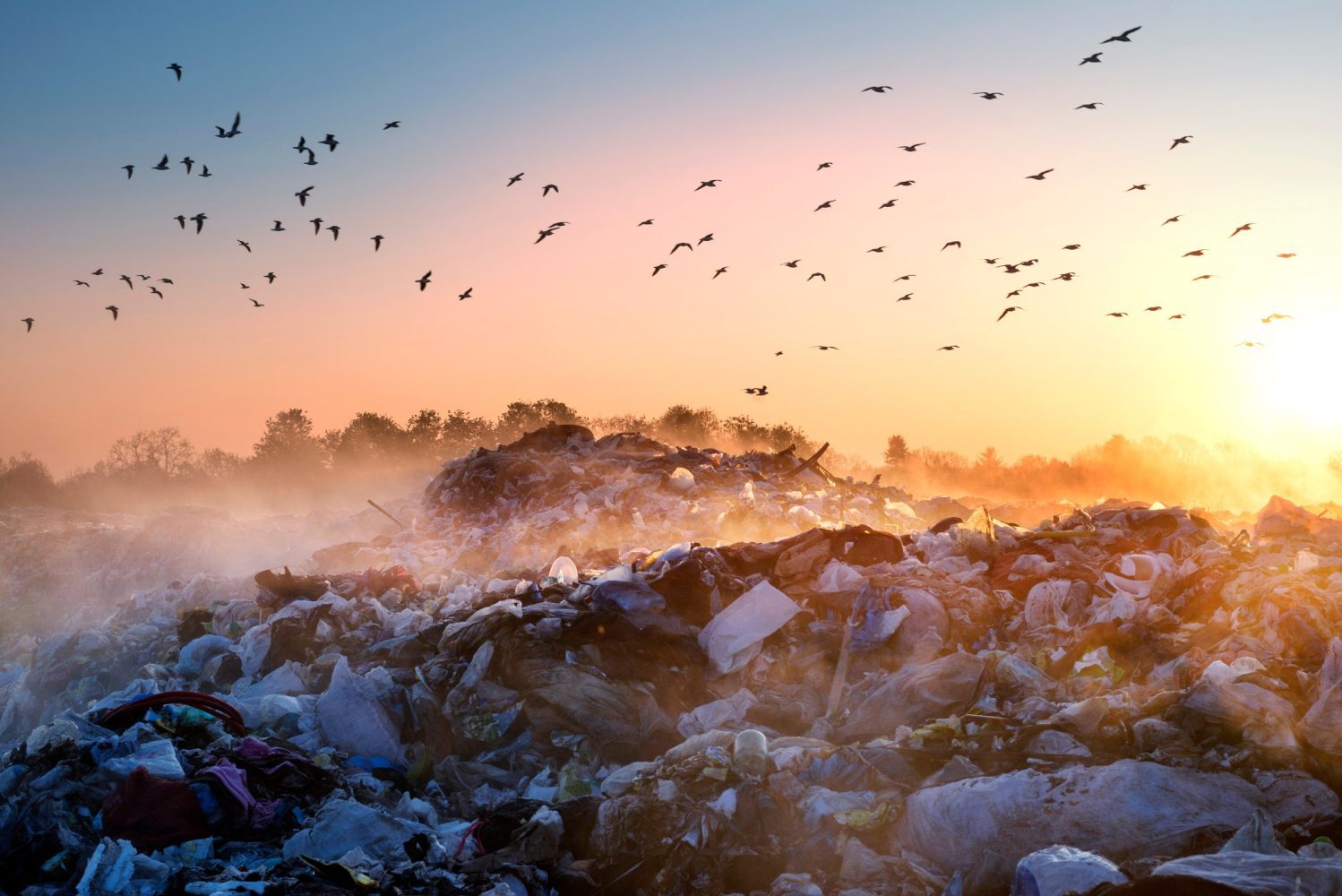 Our landfills are destroying the Earth, study shows