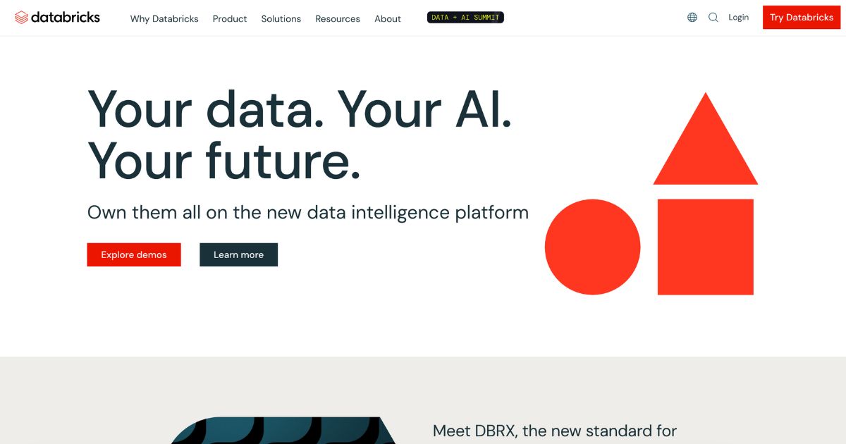 Databricks: Own your data, shape your future