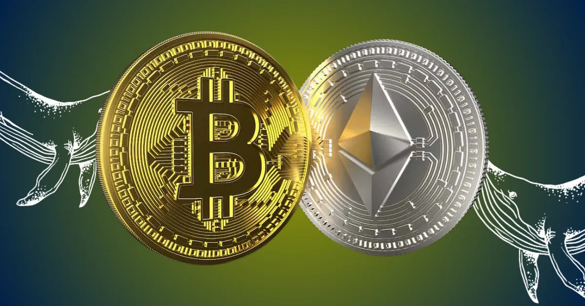 Investors Double Down On Bitcoin And Ethereum Amid Market Dips! Here’s What To Expect From BTC And ETH Price Next