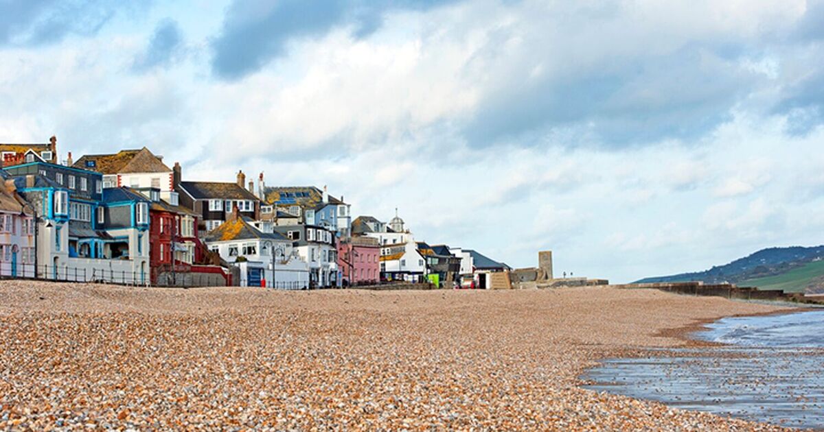 Beautiful UK seaside town slammed by tourists because there are ‘too many dogs’