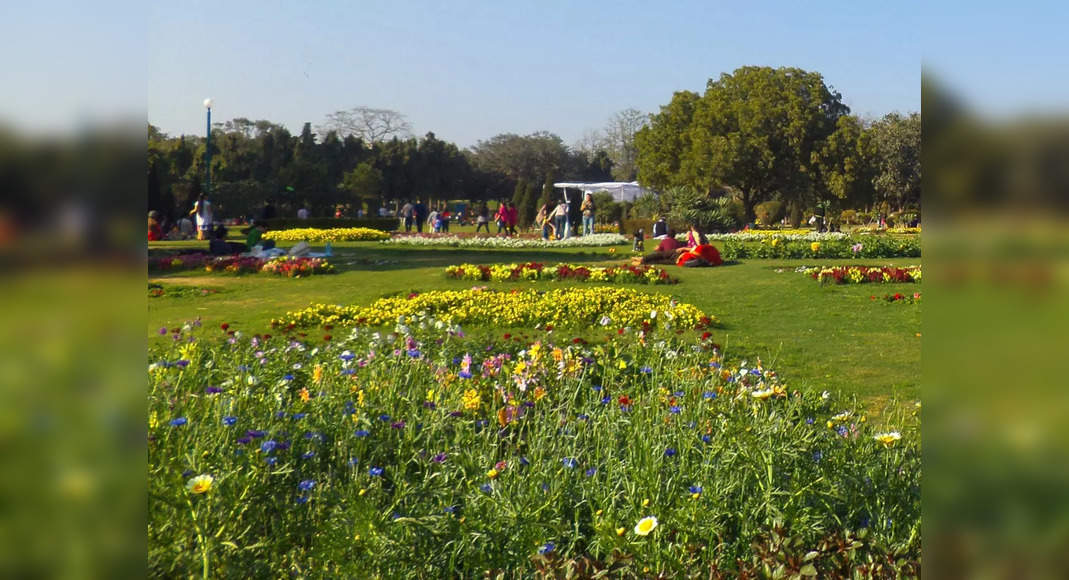 Delhi soon to get a new green park near the iconic Red Fort, thanks to NDMC