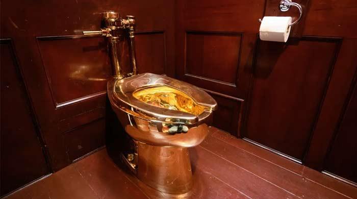 Man pleads guilty in Â£4.8m gold toilet theft from Winston Churchill’s ancestral home