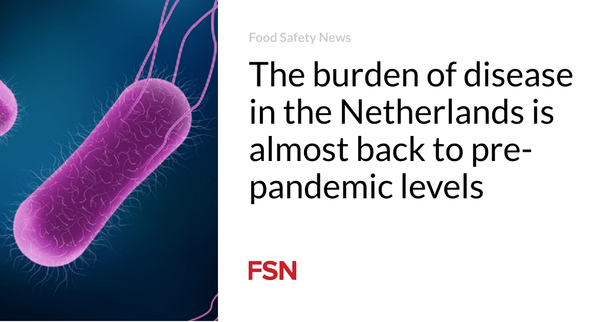 The burden of disease in the Netherlands is almost back to pre-pandemic levels