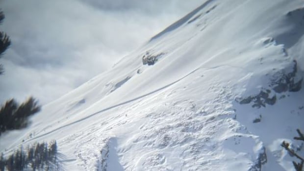 Skier dies in avalanche on Cathedral Mountain near Lake Louise