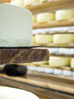 Australian cheese lovers paying too much for cheddar turn to vegan and artisanal varieties