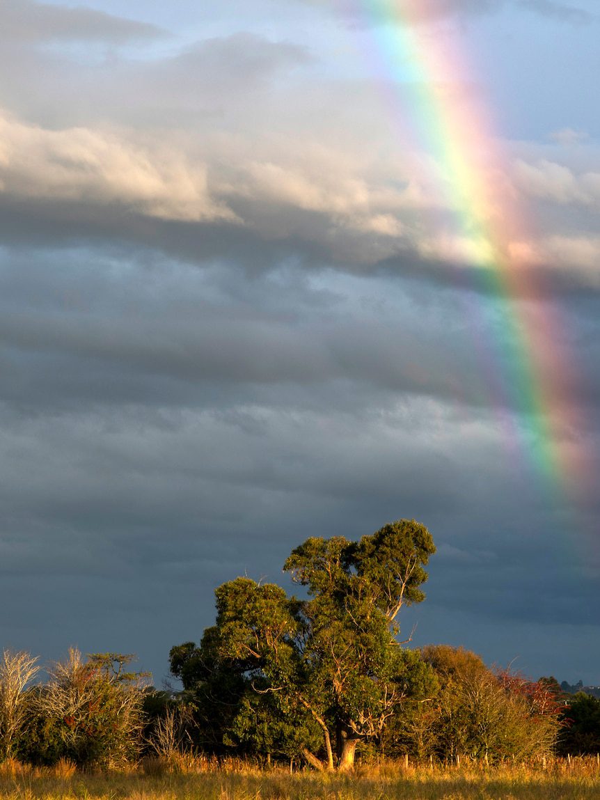 Farmers on Tasmania’s usually green King Island are struggling with drought conditions