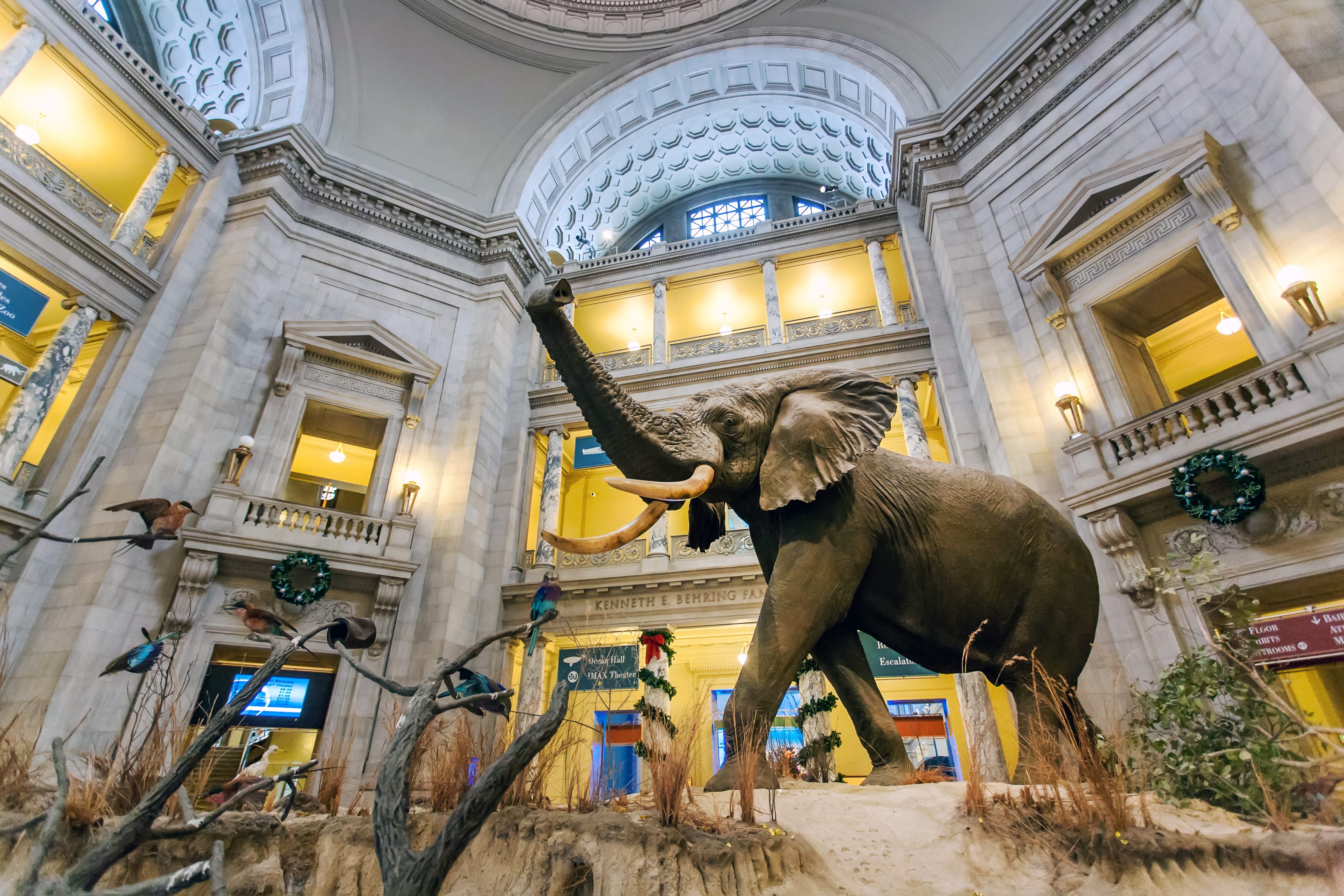 What Does The Future of Natural History Museums Look Like?