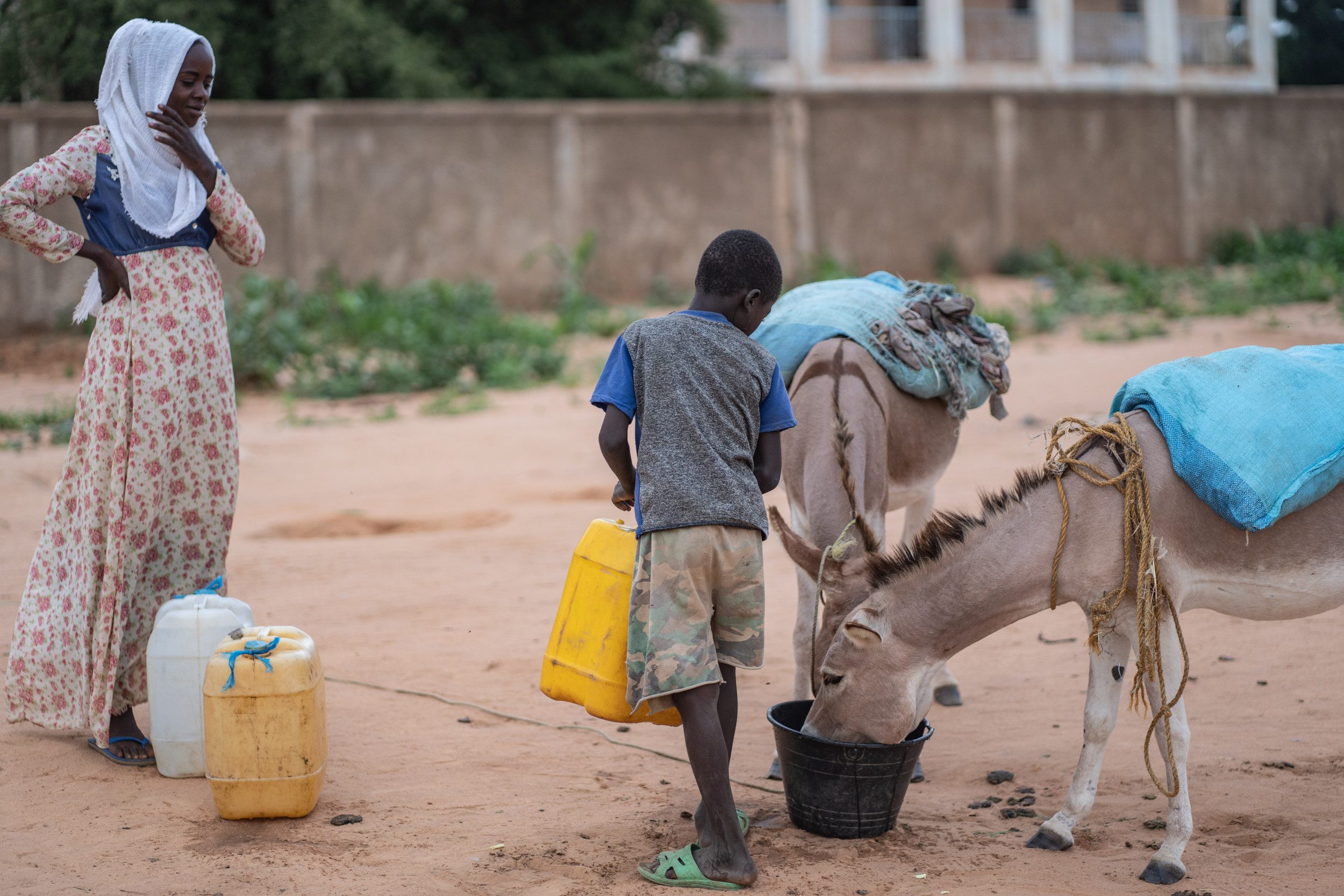 The Sudan Crisis and Its Forgotten Toll on Neighboring Countries Like Chad | Opinion