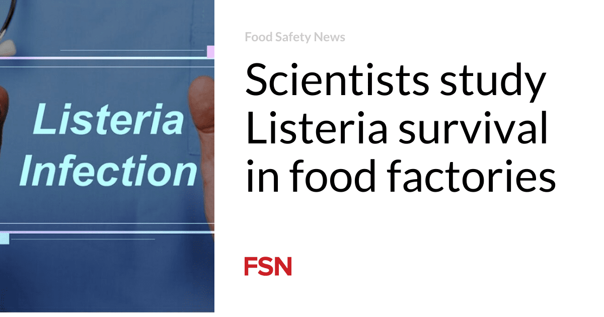 Scientists study Listeria survival in food factories