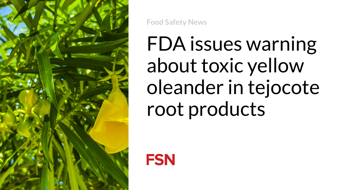 FDA issues warning about toxic yellow oleander in tejocote root products