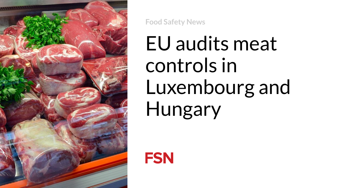 EU audits meat controls in Luxembourg and Hungary