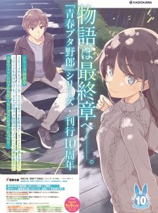 Light Novel Series ‘Seishun Buta Yarou’ Concludes with 15th Volume