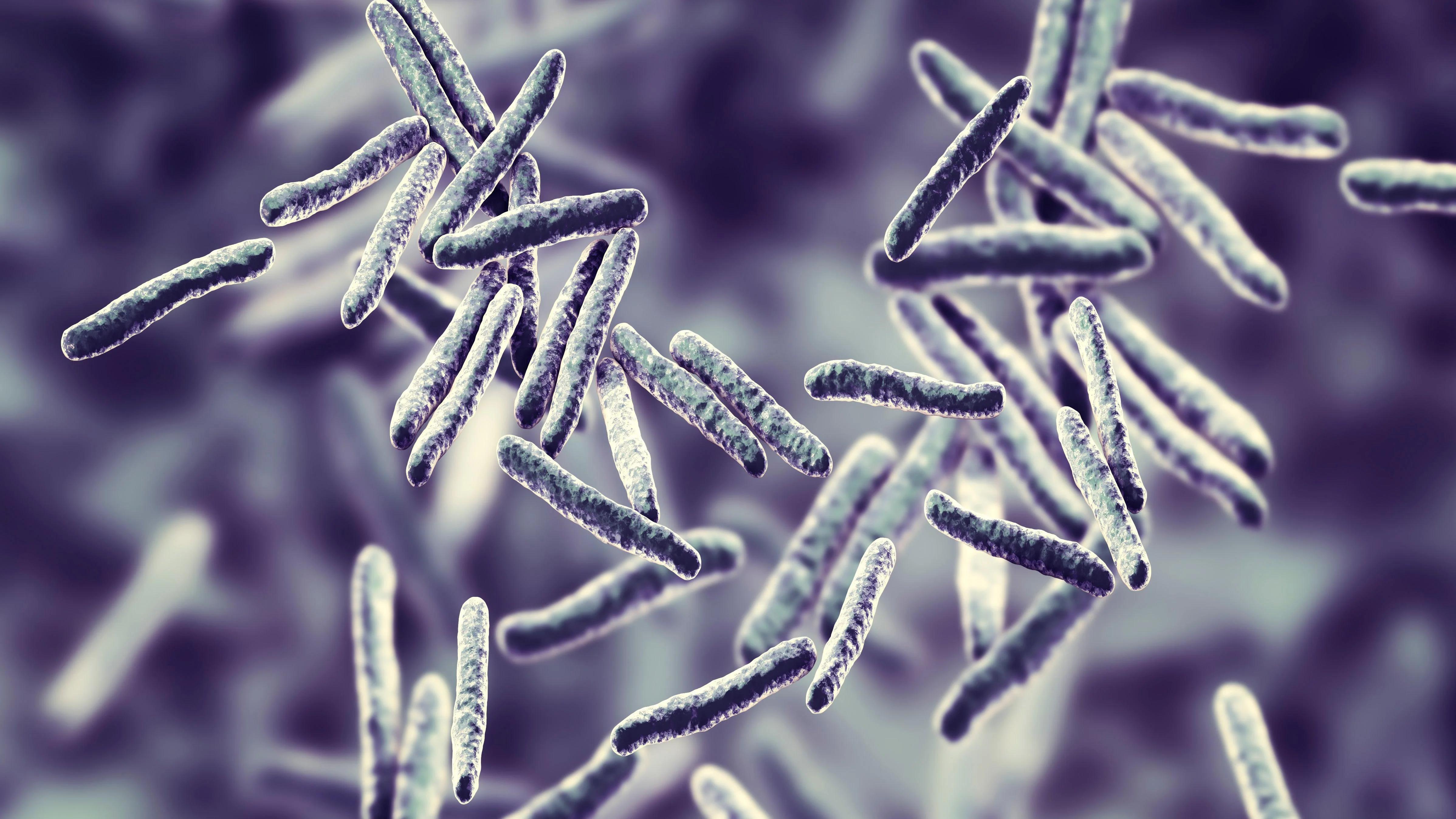 Tuberculosis Is Making a Comeback in the U.S.