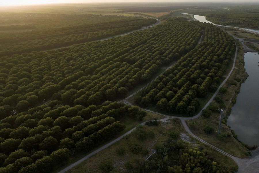 Mexico’s water has long grown Texas sugar and oranges. But the tap is running dry.