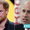 Prince William will feel ‘disappointed’ as Prince Harry cuts ties with the UK, expert claims