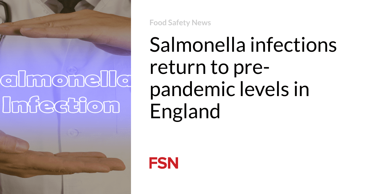 Salmonella infections return to pre-pandemic levels in England