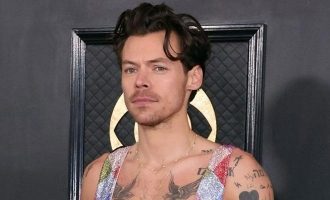 Harry Styles’ Stalker Saga: Woman Sent 8,000 Cards, Faces Concert Ban and 14 Week Sentence!