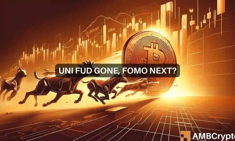 Will Uniswap [UNI] be a dark horse post-Bitcoin halving?