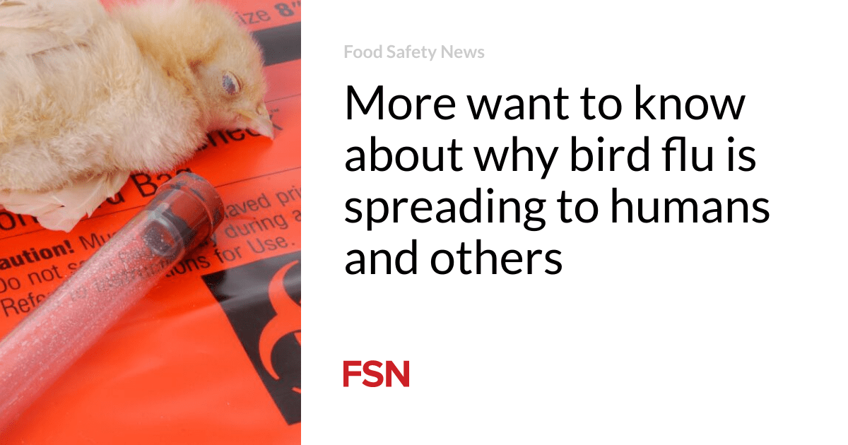 More want to know about why bird flu is spreading to humans and others