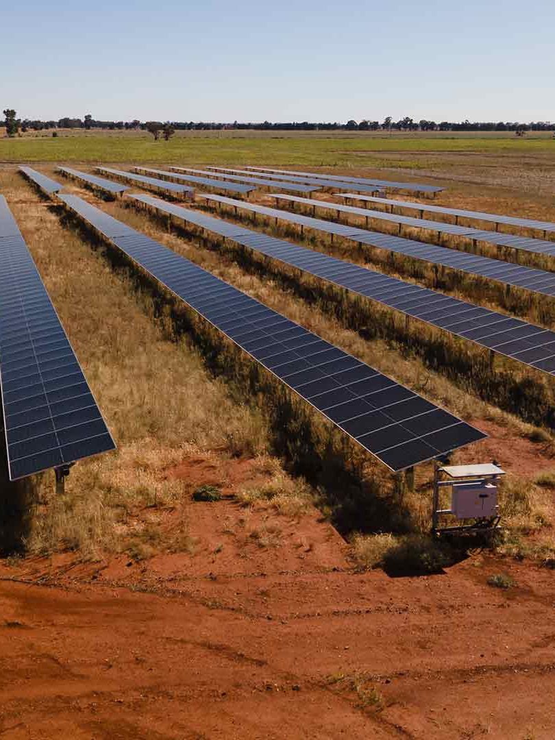 On a patch of earth ‘big as a Bunnings car park’, renters get to muscle in on the solar boom