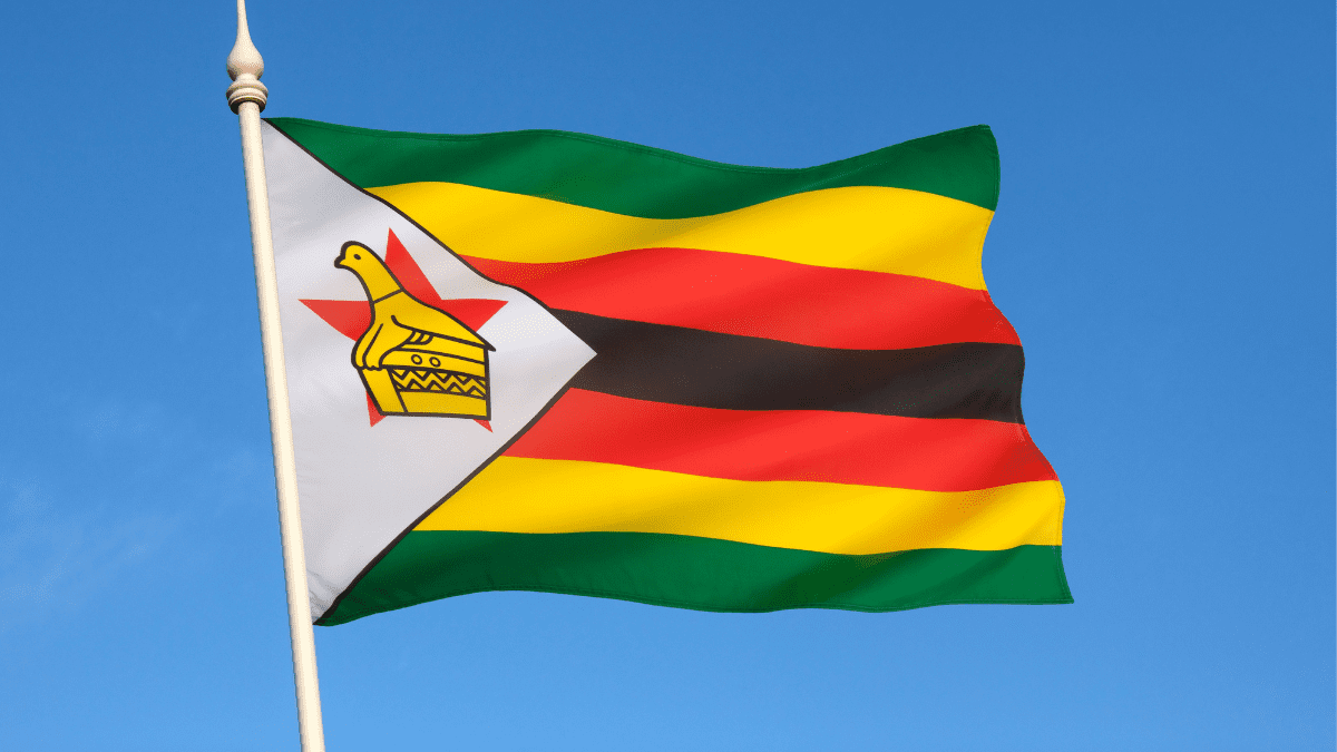 Zimbabwe’s new ZiG currency spells disaster for stock market investors