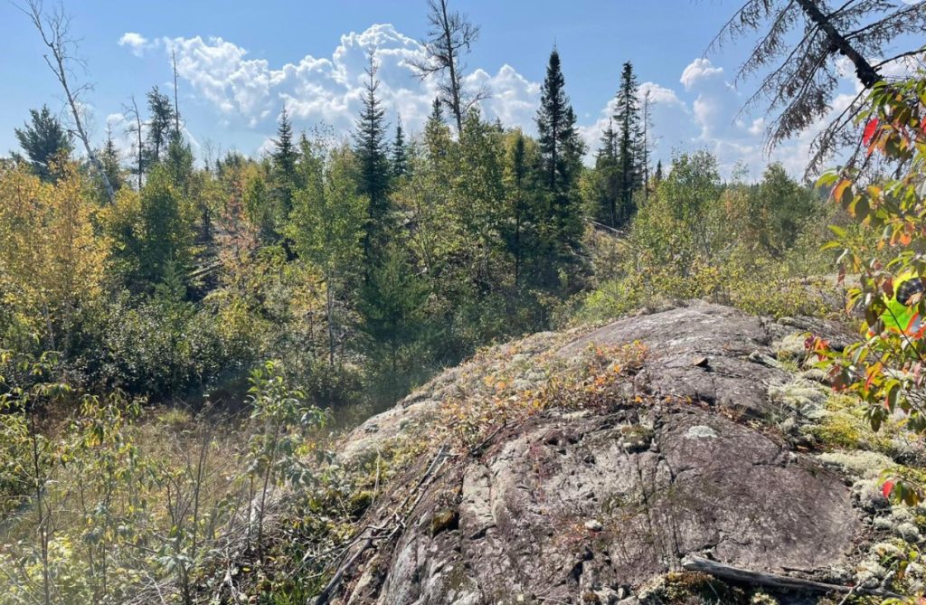 Dryden Gold drills 3.17 g/t gold over 4 metres at Gold Rock, Ontario