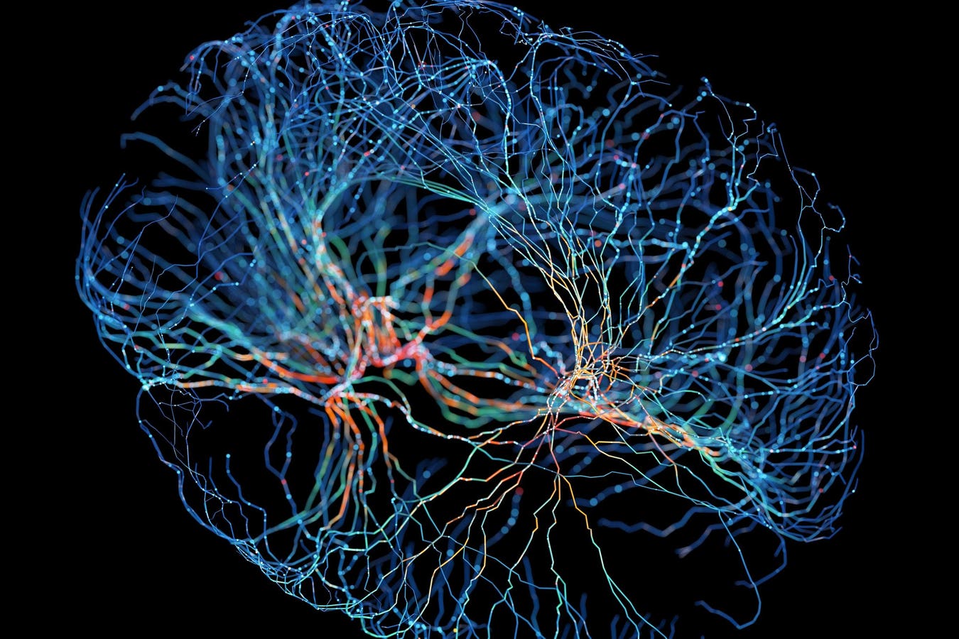 Neurotech’s Role In Enhancing Performance And Decision-Making