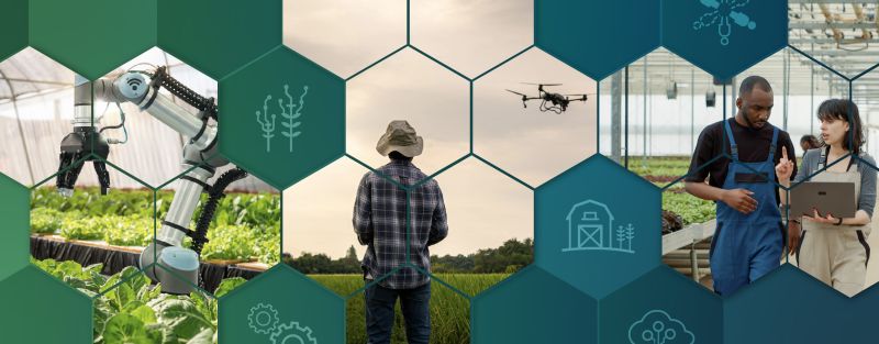 NSF and USDA join forces to boost innovation in agricultural robotics