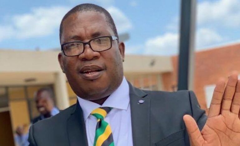 Lesufi spreads NHI lies while Gauteng Health deteriorates