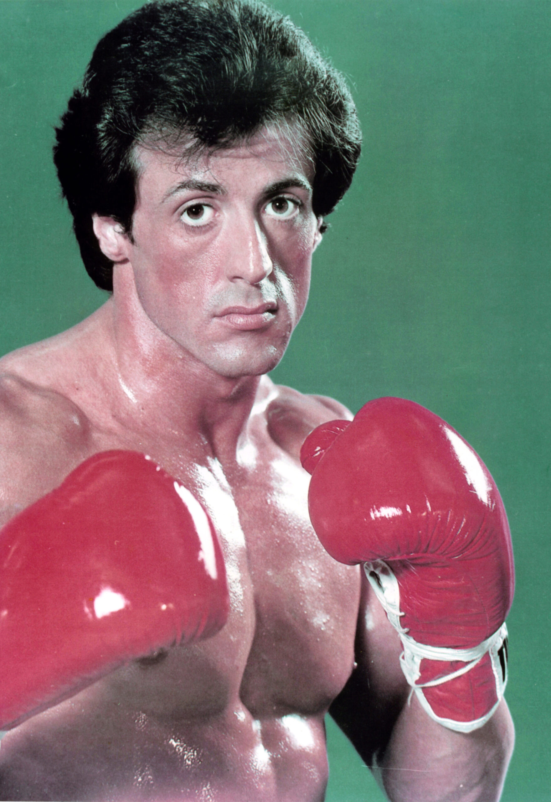 Sylvester Stallone writing memoir ‘The Steps’ inspired by ‘Rocky’s iconic run at Philadelphia art museum