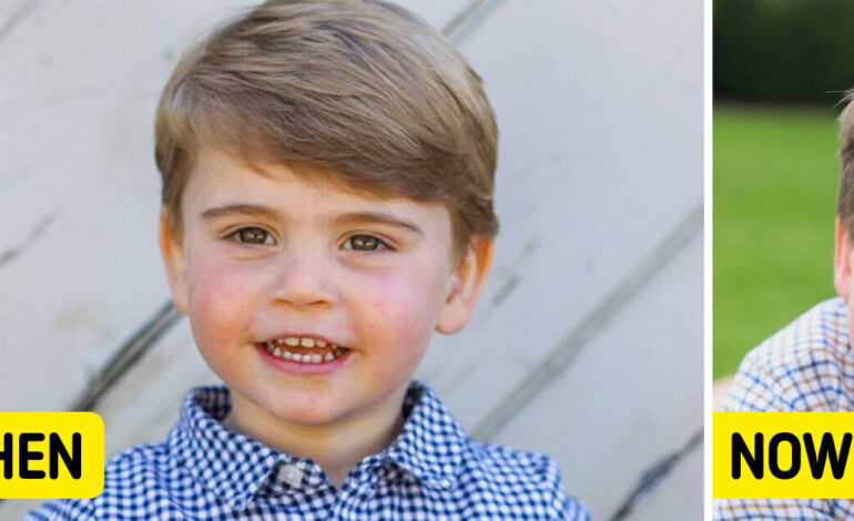 Prince Louis Celebrates His 6th Birthday, but People Had Some Concerns