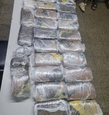 Over $2.9m worth of ‘creepy’ ganja found in Cocoyea