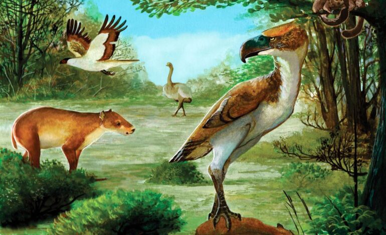 Antarctica’s Terror Bird Was an Apex Predator of the Eocene Epoch