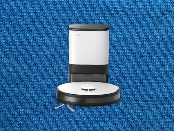 10 Best Robot Vacuums (2024): Mops, Budget Vacs, Great Mapping